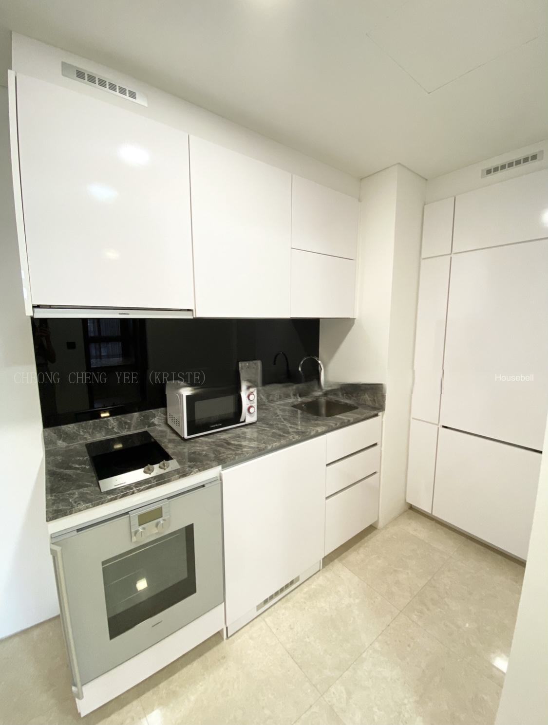 Robinson Suites, S$ 4,000 (可协商价格) /月, 495 sqft, 公寓 - Condominium