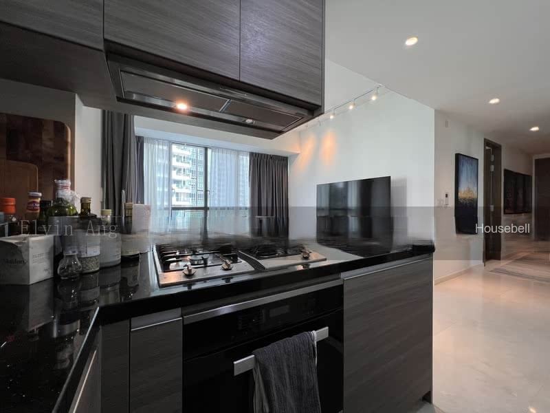 8 Saint Thomas, S$ 3,100,000 (可协商价格), 1,044 sqft, 公寓 - Condominium