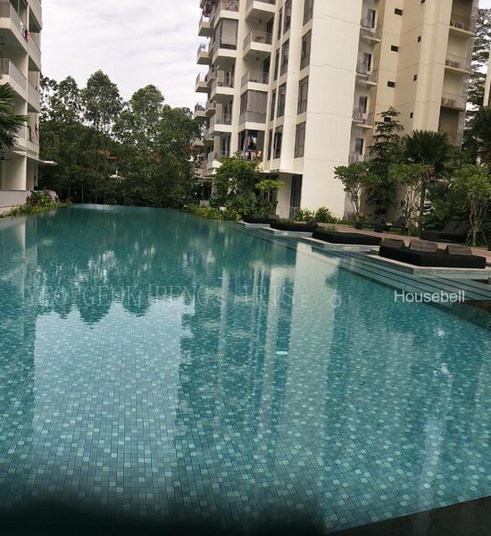 The Skywoods