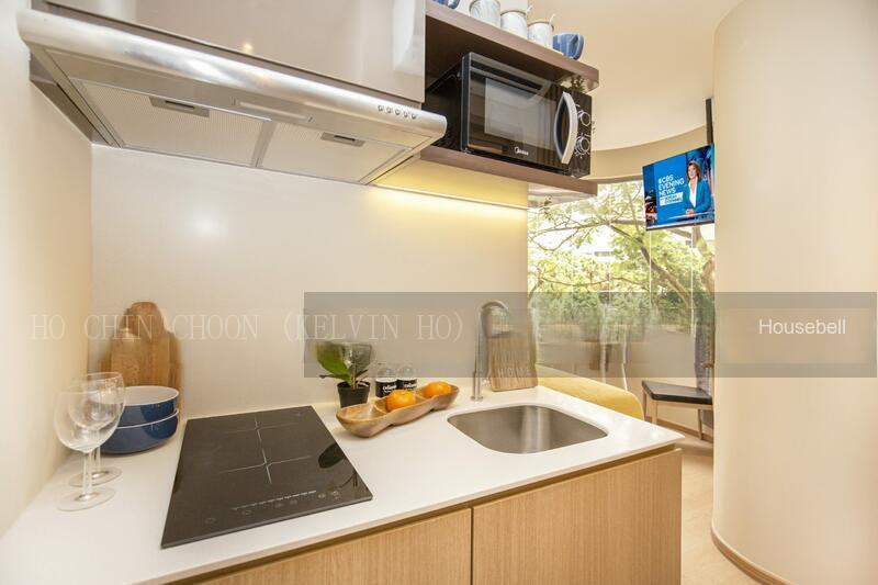Coliwoo Studio @Orchard, S$ 2,500 (最低价格) /月, 250 sqft, 公寓 - Apartment