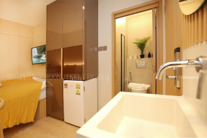 Coliwoo Studio @Orchard, S$ 2,500 (最低价格) /月, 250 sqft, 公寓 - Apartment