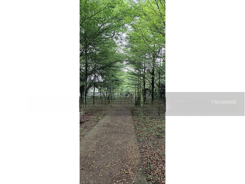 MEYER BLUE, S$ 3,551,000, 1,141 sqft, 公寓 - Condominium