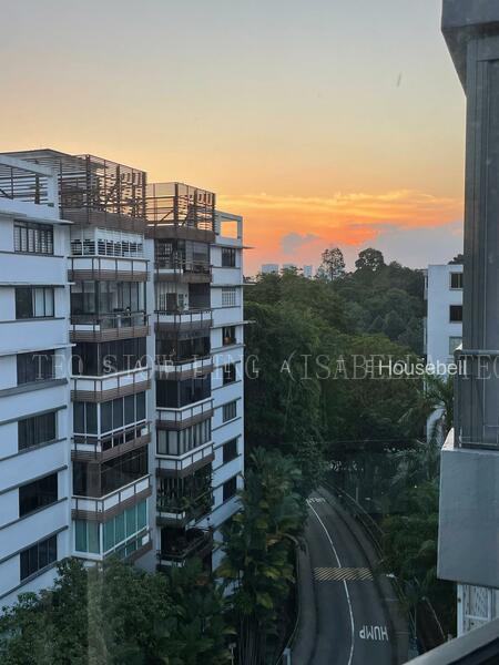 Botanic Gardens View, S$ 4,000,000, 1,410 sqft, 公寓 - Apartment
