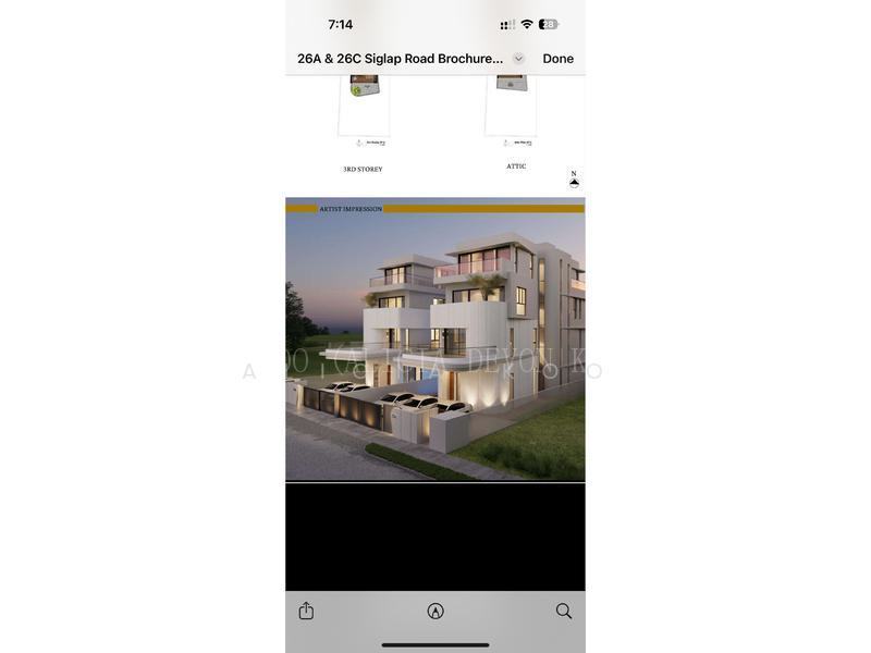 Siglap road, S$ 15,400,000, 4,343 sqft, 有地 - Terraced House