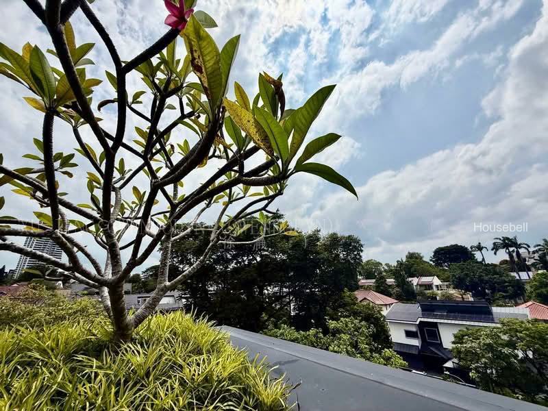 Kingsmead Almost New Home With Home Lift, S$ 25,700,000 (可协商价格), 9,800 sqft, 有地 - Bungalow House