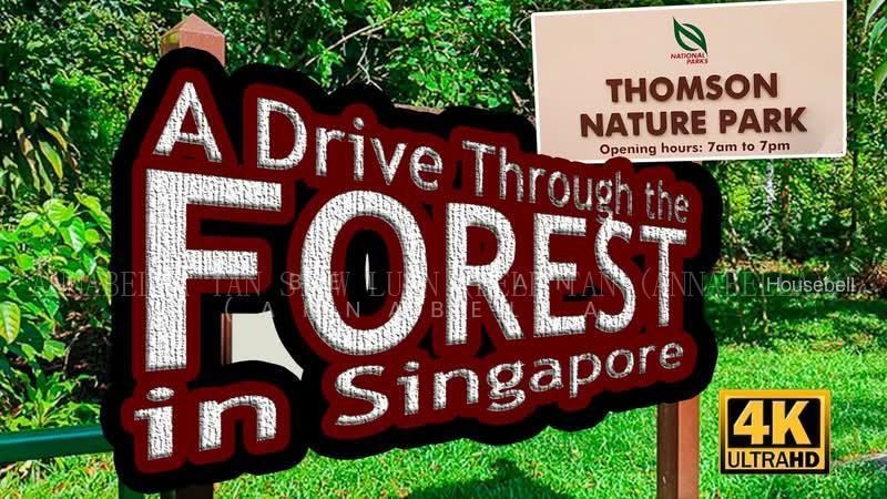 ⭐️⭐️Landed7772@ D20 Brand New FH📞Next to MRT Within 1km to Ai Tong n Catholic High, S$ 7,180,000 (Starting From), 1,600 sqft, Landed - Terraced House