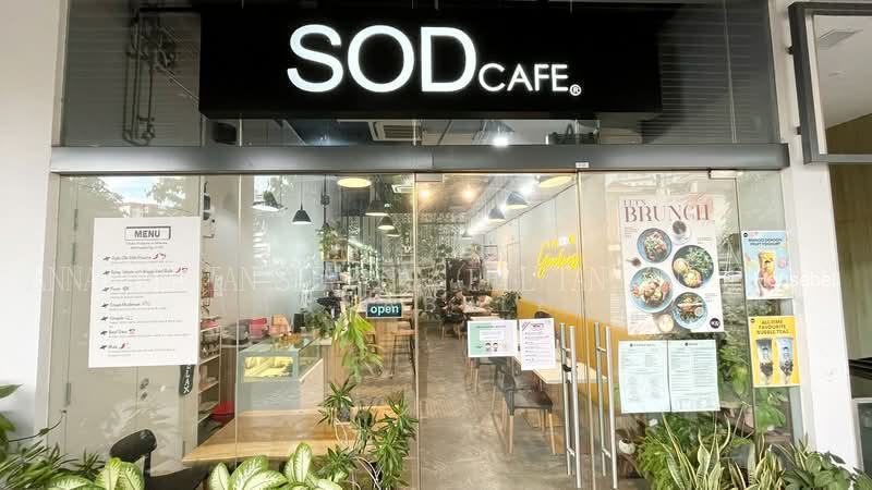 ⭐️⭐️Landed7772@ D20 Brand New FH📞Next to MRT Within 1km to Ai Tong n Catholic High, S$ 7,180,000 (Starting From), 1,600 sqft, Landed - Terraced House