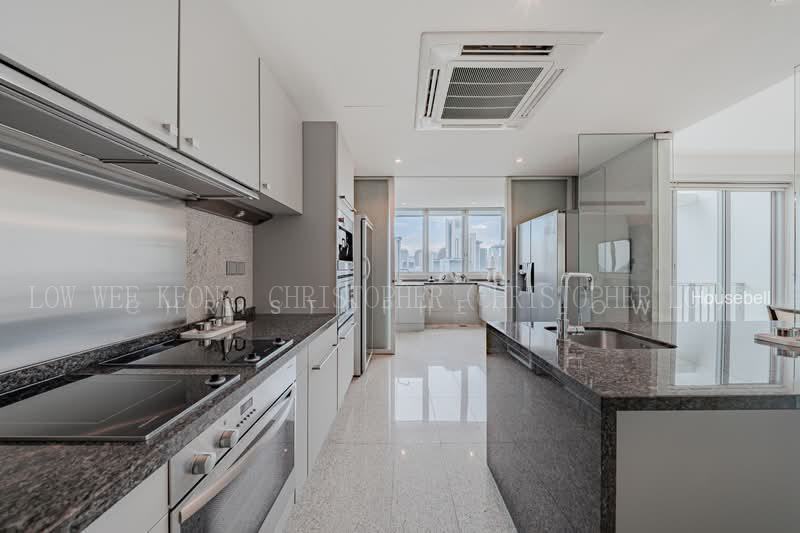 Draycott Eight, S$ 6,320,520 (可协商价格), 2,896 sqft, 公寓 - Condominium