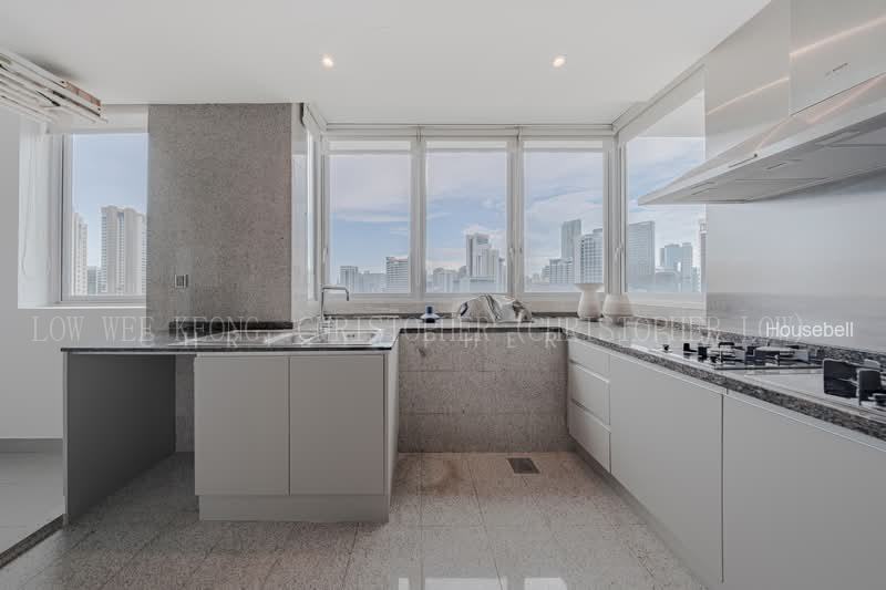 Draycott Eight, S$ 6,320,520 (可协商价格), 2,896 sqft, 公寓 - Condominium