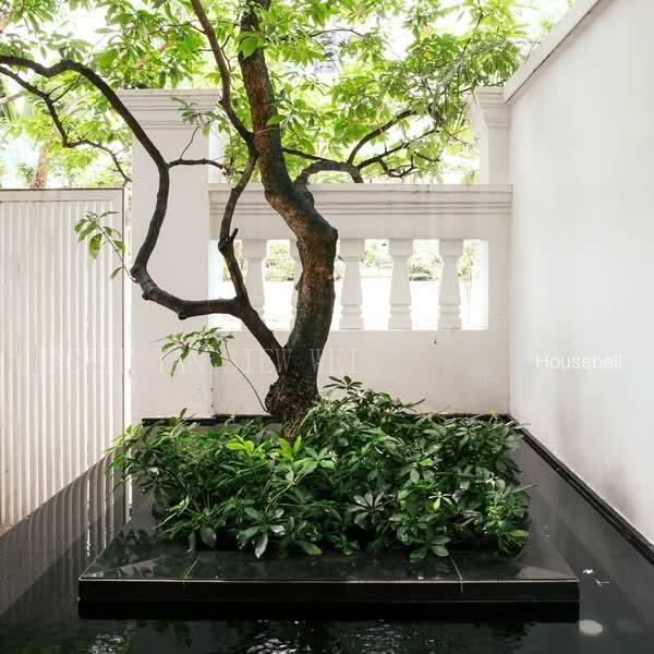 Beautiful Rare Conservation House along Cairnhill Road, S$ 30,000 /mo, 6,500 sqft, Landed - Conservation House