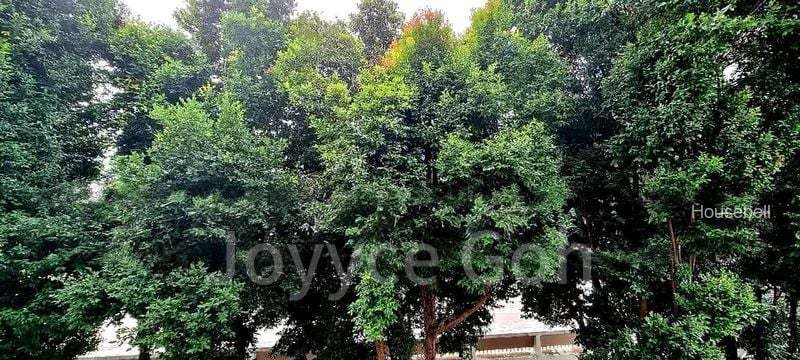 73 Telok Blangah Heights, S$ 4,700 /月, 1,259 sqft, 组屋 - 5 A