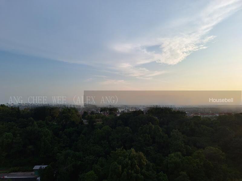 Normanton Park, S$ 2,000,000 (可协商价格), 936 sqft, 公寓 - Condominium
