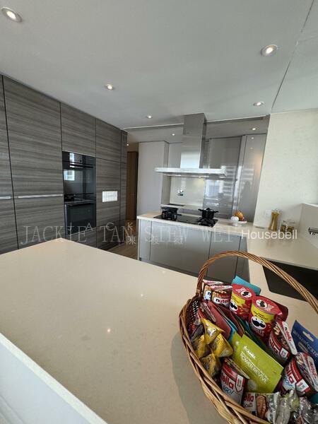 Ardmore Residence, S$ 29,999 (最低价格) /月, 3,186 sqft, 公寓 - Condominium