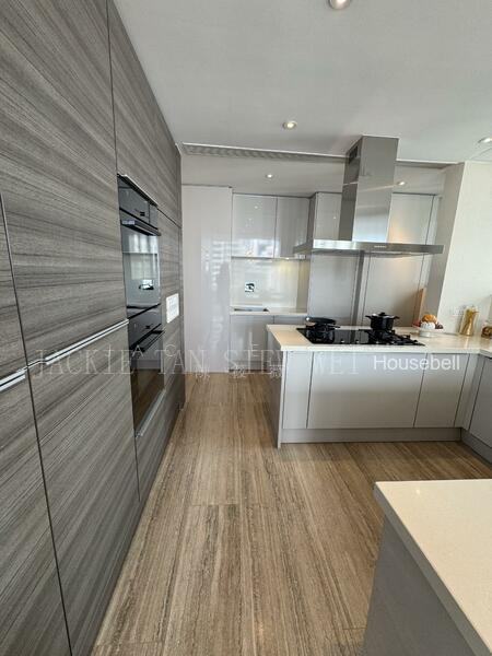 Ardmore Residence, S$ 29,999 (最低价格) /月, 3,186 sqft, 公寓 - Condominium