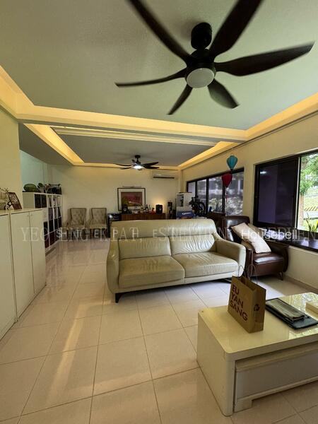 Braddell View