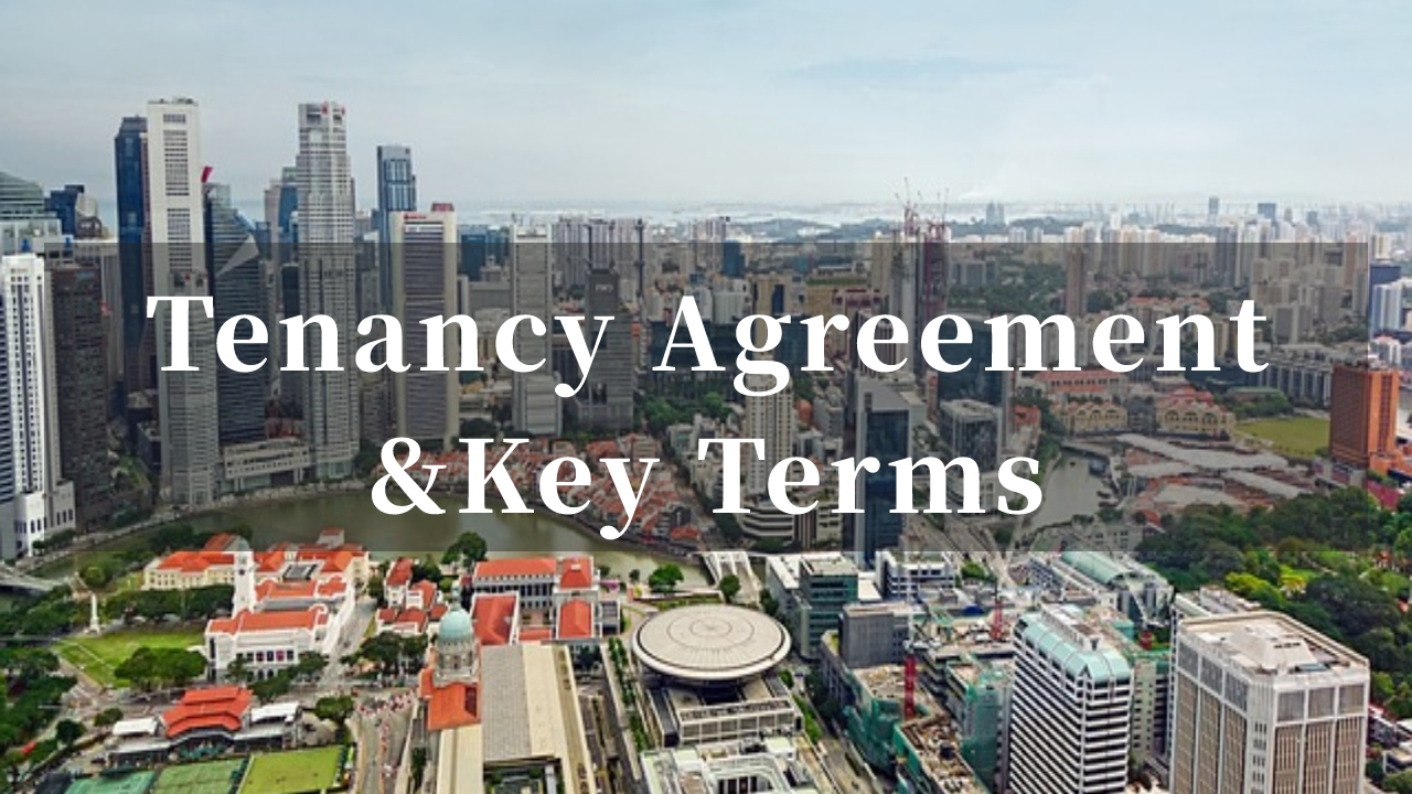 Tenants must see：Singapore Tenancy Agreement and Key Terms