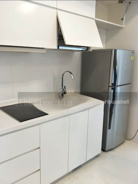 Parc Sophia, S$ 988,888, 474 sqft, 公寓 - Apartment