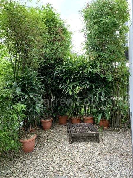 Goldhill Gardens, S$ 16,868 /月, 4,000 sqft, 有地 - Semi-Detached House