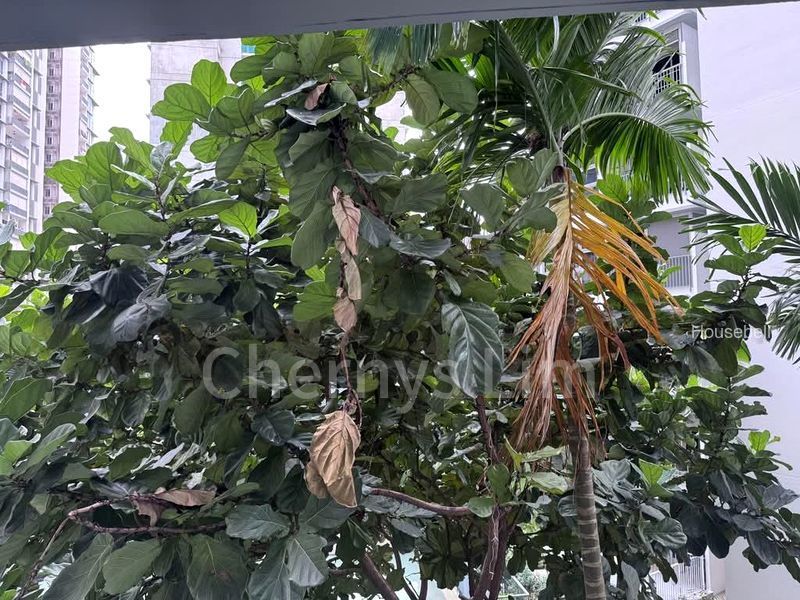 RiverTrees Residences, S$ 2,500 /月, 250 sqft, 公寓 - Condominium