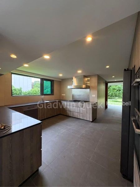 The Ford @ Holland, S$ 62,000 /mo, 11,999 sqft, Landed - Bungalow House