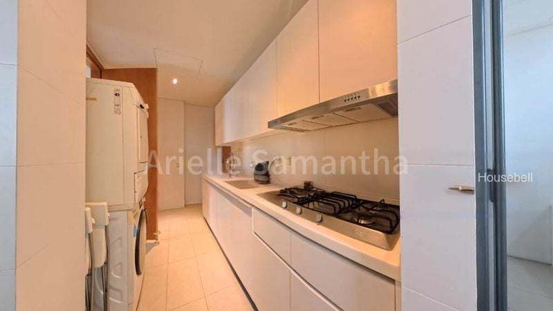 Skypark @ Somerset, S$ 20,000 /月, 3,447 sqft, 公寓 - Apartment
