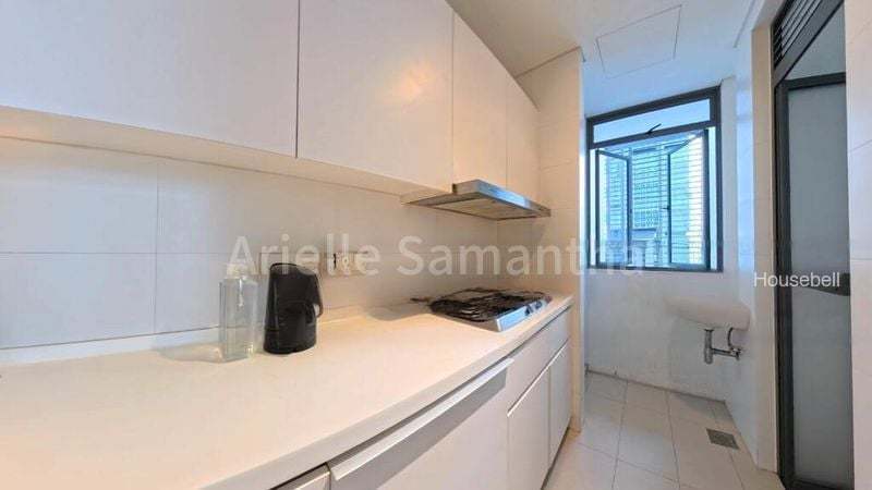 Skypark @ Somerset, S$ 20,000 /月, 3,447 sqft, 公寓 - Apartment