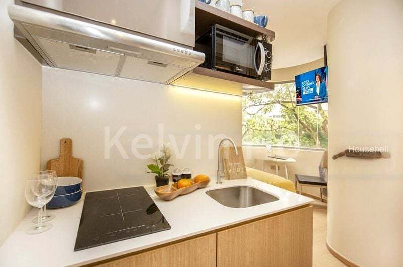 2 Mount Elizabeth Link, S$ 2,400 /月, 250 sqft, 公寓 - Apartment