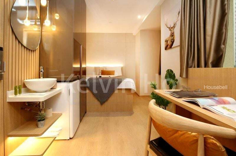 2 Mount Elizabeth Link, S$ 2,400 /月, 250 sqft, 公寓 - Apartment