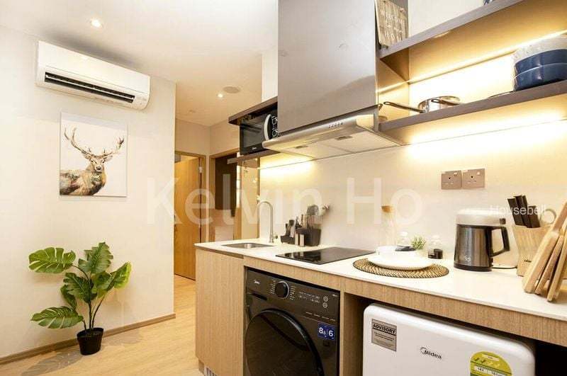 2 Mount Elizabeth Link, S$ 2,400 /月, 250 sqft, 公寓 - Apartment