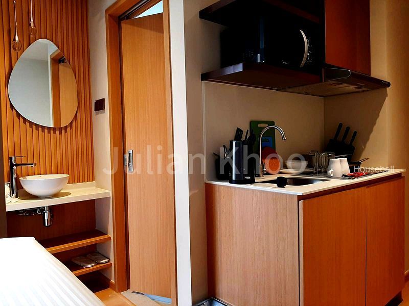 2 Mount Elizabeth Link, S$ 3,600 /月, 273 sqft, 公寓 - Condominium