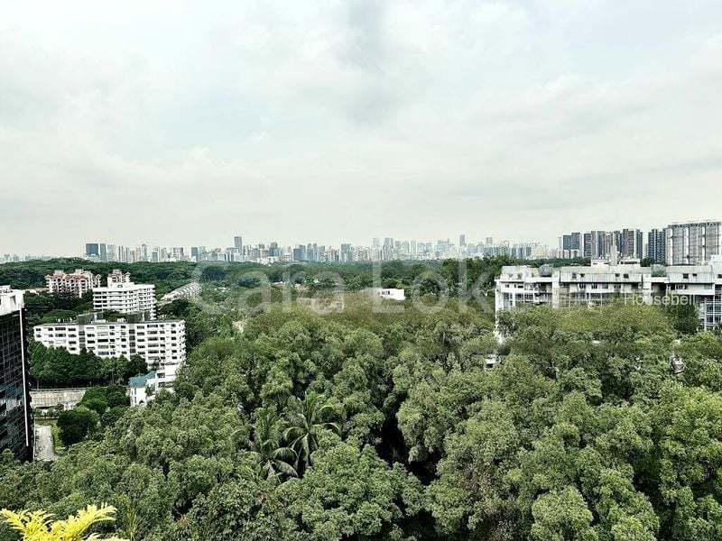 4 Bed Condo for Sale in  15 Holland Hill, S$ 19,888,000, 4,973 sqft, 公寓 - Condominium