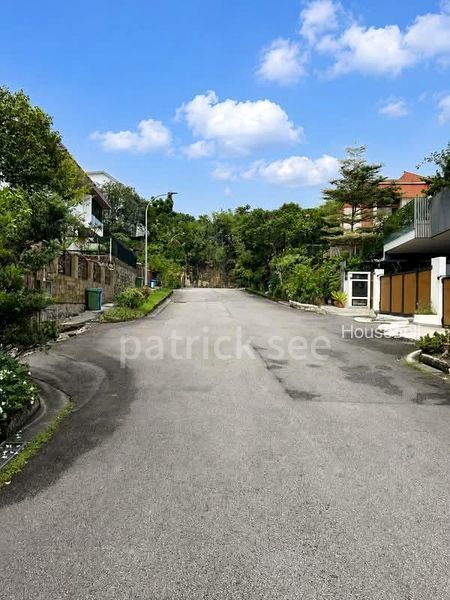 Phoenix Heights, S$ 7,480,000, 5,013 sqft, 有地 - Semi-Detached House