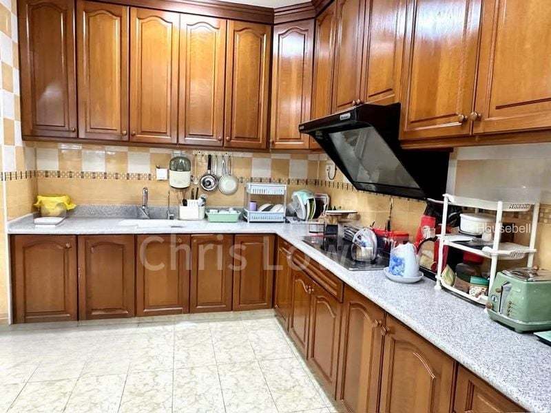 5 Bed Semi-Detached House (Landed) for Sale in  Mugliston Road, S$ 11,000,000, 5,573 sqft, 有地 - Semi-Detached House