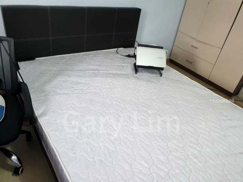Apartment (Condo) for Room Rent: Lucky Plaza(3)