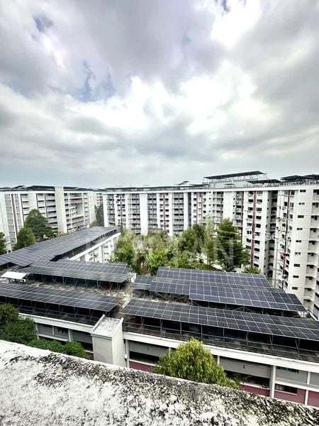 260 Tampines Street 21, S$ 1,100 /月, 250 sqft, 组屋 - 5 A