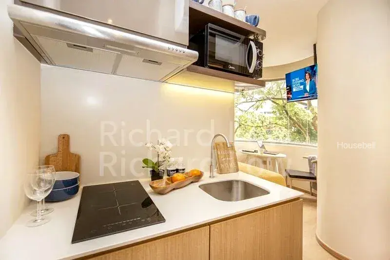 2 Mount Elizabeth Link, S$ 3,200 /mo, 250 sqft, Condos - Condominium