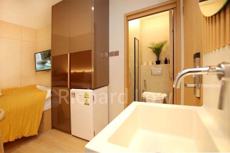2 Mount Elizabeth Link, S$ 2,800 /月, 230 sqft, 公寓 - Condominium
