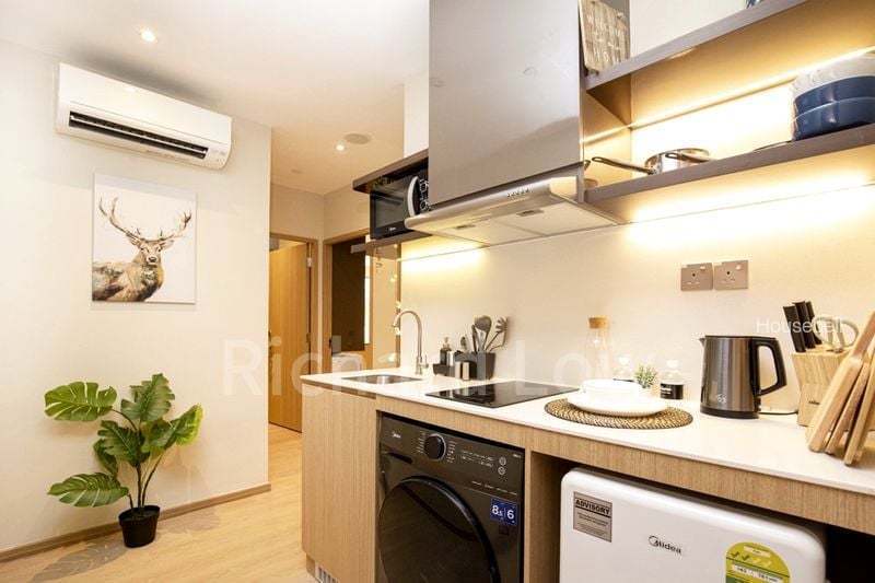 2 Mount Elizabeth Link, S$ 2,800 /月, 230 sqft, 公寓 - Condominium