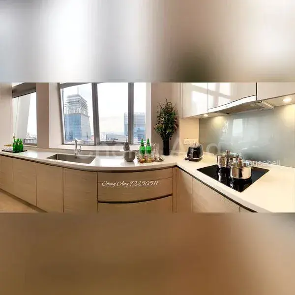 V on Shenton, S$ 16,500,000, 6,814 sqft, 公寓 - Condominium
