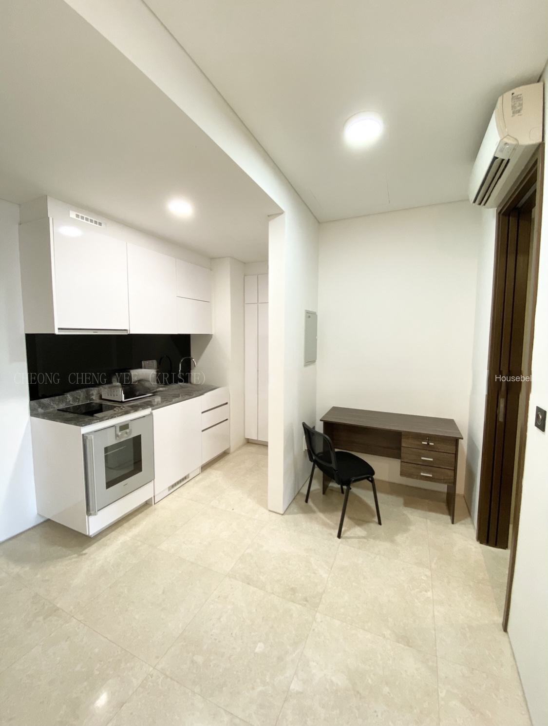 Robinson Suites, S$ 4,000 (可协商价格) /月, 495 sqft, 公寓 - Condominium