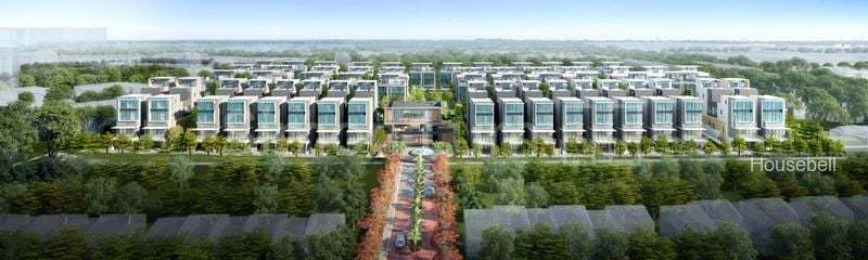 Belgravia Ace, S$ 5,000,000, 4,370 sqft, 有地 - Semi-Detached House