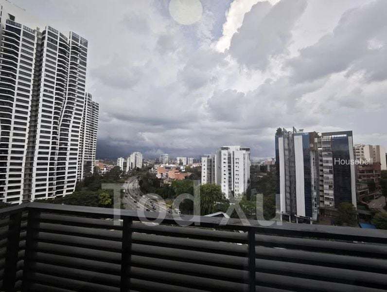 Leedon Green(5)